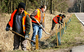 Welski Park Krajobrazowy chroni życie płazów Welski Park Krajobrazowy chroni życie płazów